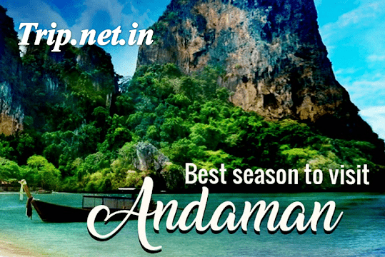 andaman tour packages with flight